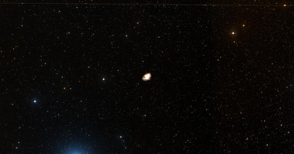 Star Naming Services Compared: What to Look For Before You Buy