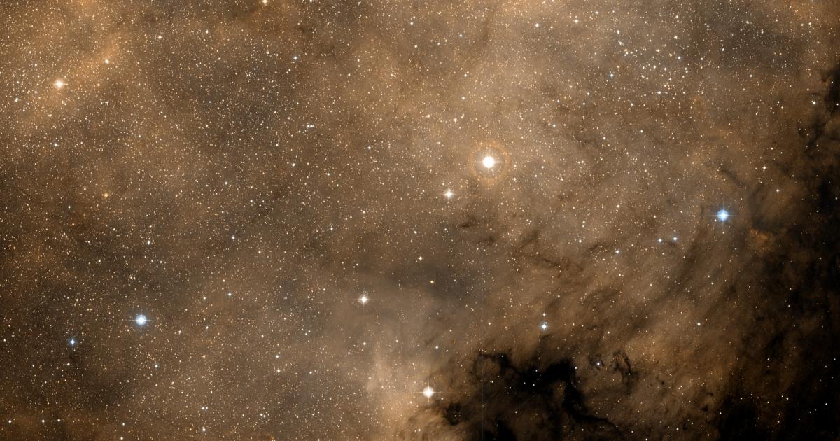 Cygnus: The Swan Soaring Through the Milky Way